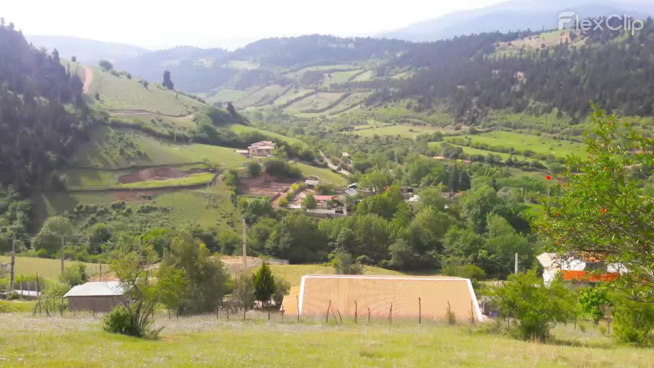 فروش زمین 37000 متری         (سند تک برگ)|فروش زمین و ملک کلنگی|توتکابن, |دیوار