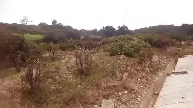زمین مناسب سرمایه گذاری تهاتر با ماشین|فروش زمین و ملک کلنگی|تهران, شمیران‌نو|دیوار