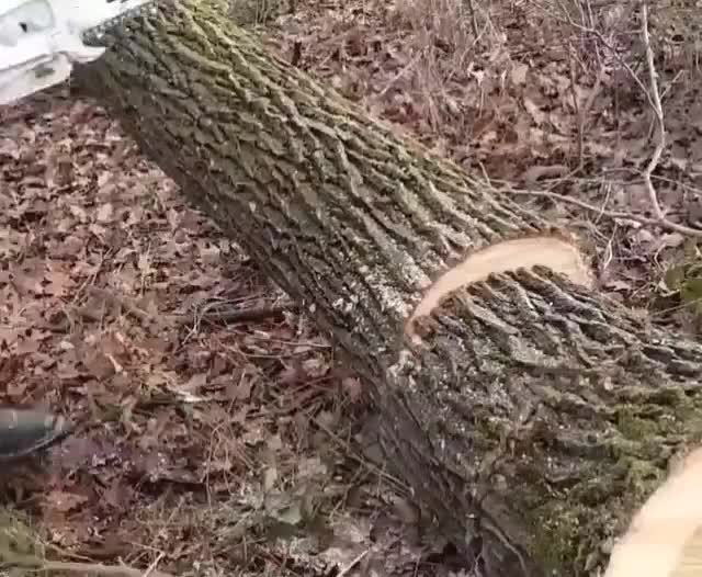 اره موتوری بنزینی|ماشین‌آلات صنعتی|کرمان, |دیوار