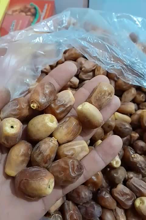 خرمایه زاهدی|خوردنی و آشامیدنی|افزر, |دیوار