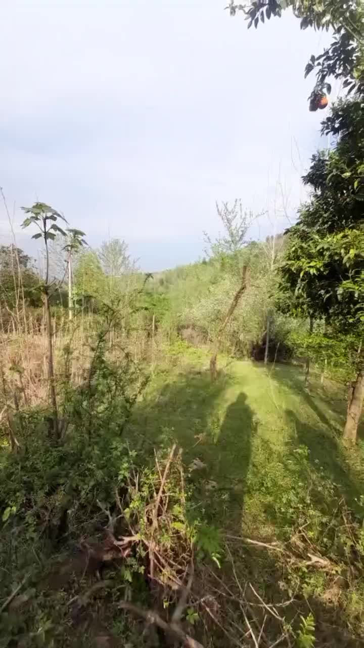فروش زمین ۶۸۰ متری مسکونی در روستای گنجار|فروش زمین و ملک کلنگی|احمدسرگوراب, |دیوار