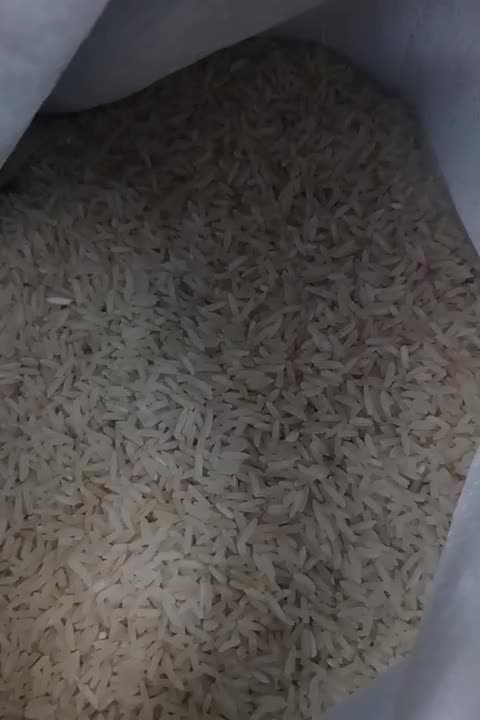 برنج فجر شمال|خوردنی و آشامیدنی|خان ببین, |دیوار