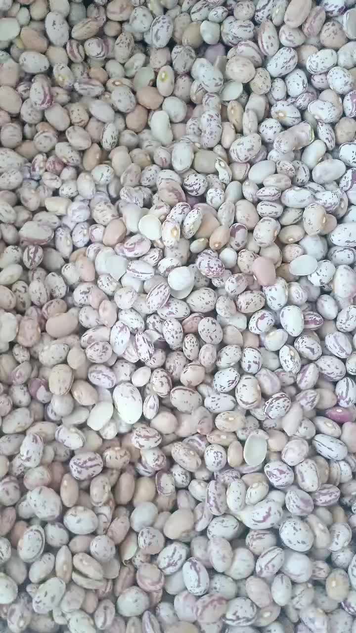 چیتی|عمده‌فروشی|تهران, شهرآرا|دیوار