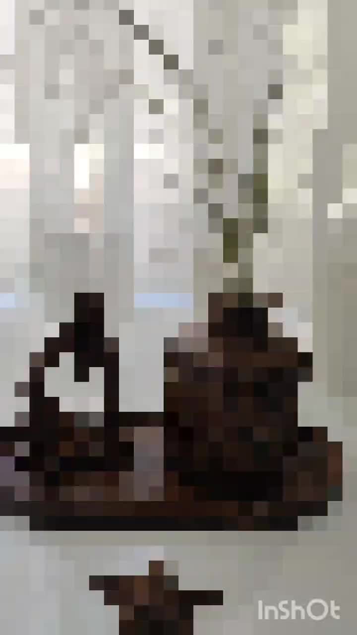 ست دکوری و گلدان تک|صنایع دستی و سایر لوازم تزئینی|بیرجند, |دیوار