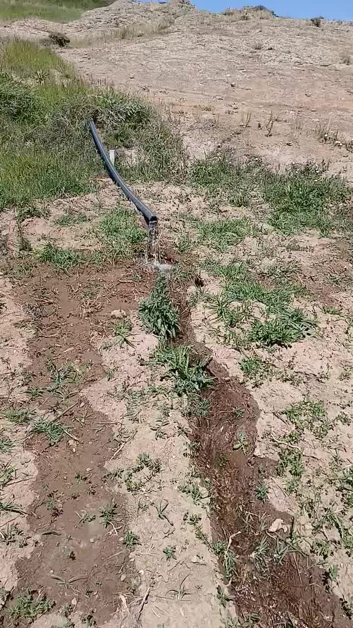 باغ۴ساله۱۲۰۰متری.سنددار ۶۰۰میلیون.درعلی آباد|فروش زمین و ملک کلنگی|خلخال, |دیوار