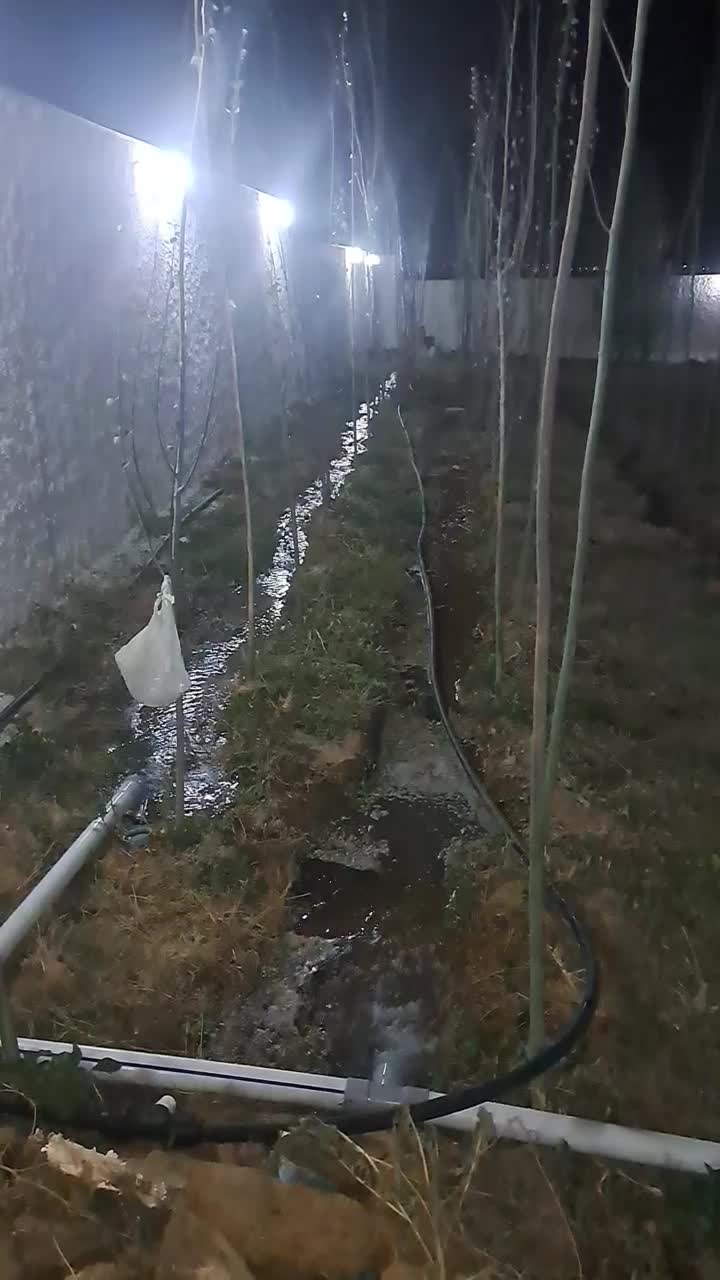 باغ ویلا 1000متری سنددار در بهترین نقطه|فروش خانه و ویلا|بستان آباد, |دیوار