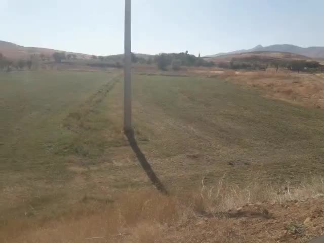 زمین کشاورزی|فروش زمین و ملک کلنگی|موچش, |دیوار