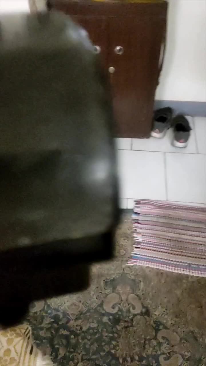 فیلتر هنگان سوبو مدل WF606|ماهی|فردیس, نگارستان|دیوار