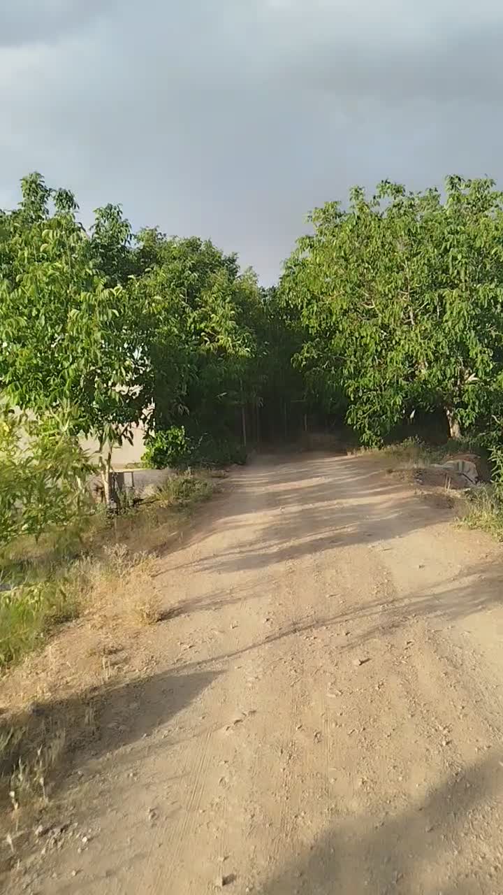 فروش زمین ۵۳۵ متری جاده پل زمانخان اصفهان|فروش زمین و ملک کلنگی|اصفهان, گلستان|دیوار