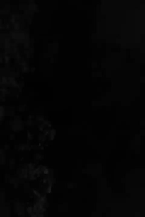 اسکار تایگر|ماهی|مراغه, |دیوار