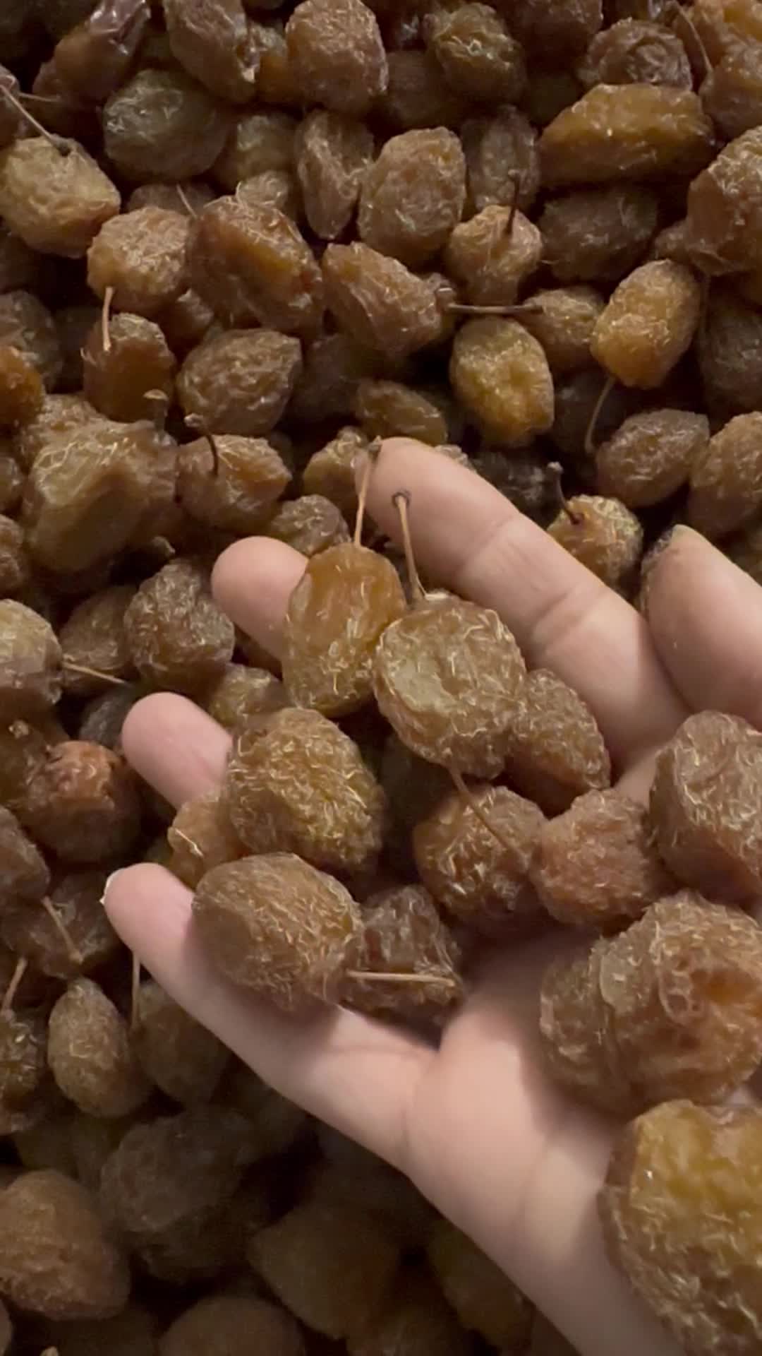 آلو خوانساری درجه ۱|خوردنی و آشامیدنی|تهران, کرمان|دیوار