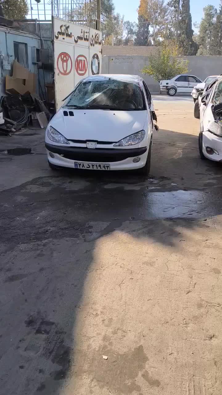 206 sd v8|خودرو سواری و وانت|شیراز, شهرک مهدیه|دیوار