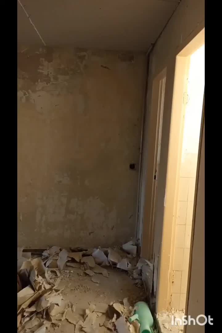 نقاش ساختمان|خدمات پیشه و مهارت|صفادشت, |دیوار