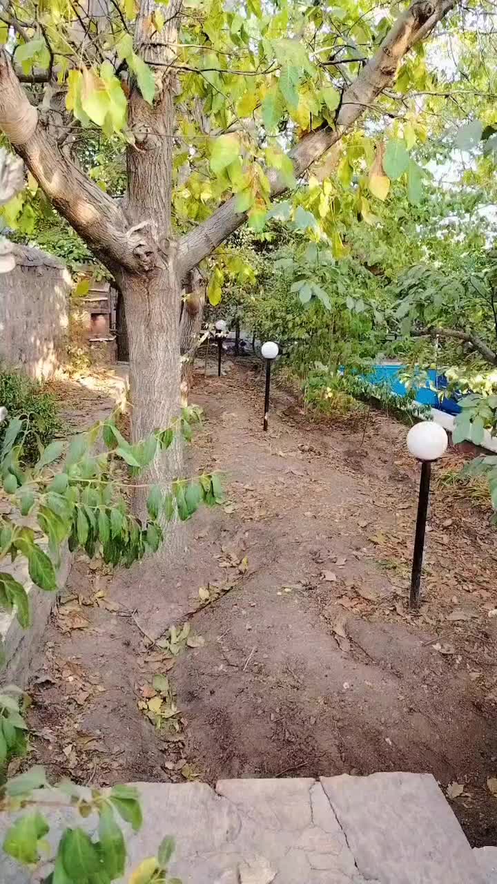 فروش ویلا در تاپ ترین و دنج ترین لوکیشن اینه ورزان|فروش خانه و ویلا|دماوند, دماوند|دیوار