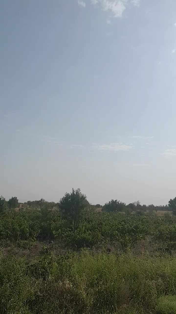 فروش یامعاوضه باغ بحر اتوبان قزوین با خانه در کرج|فروش زمین و ملک کلنگی|کرج, عظیمیه|دیوار