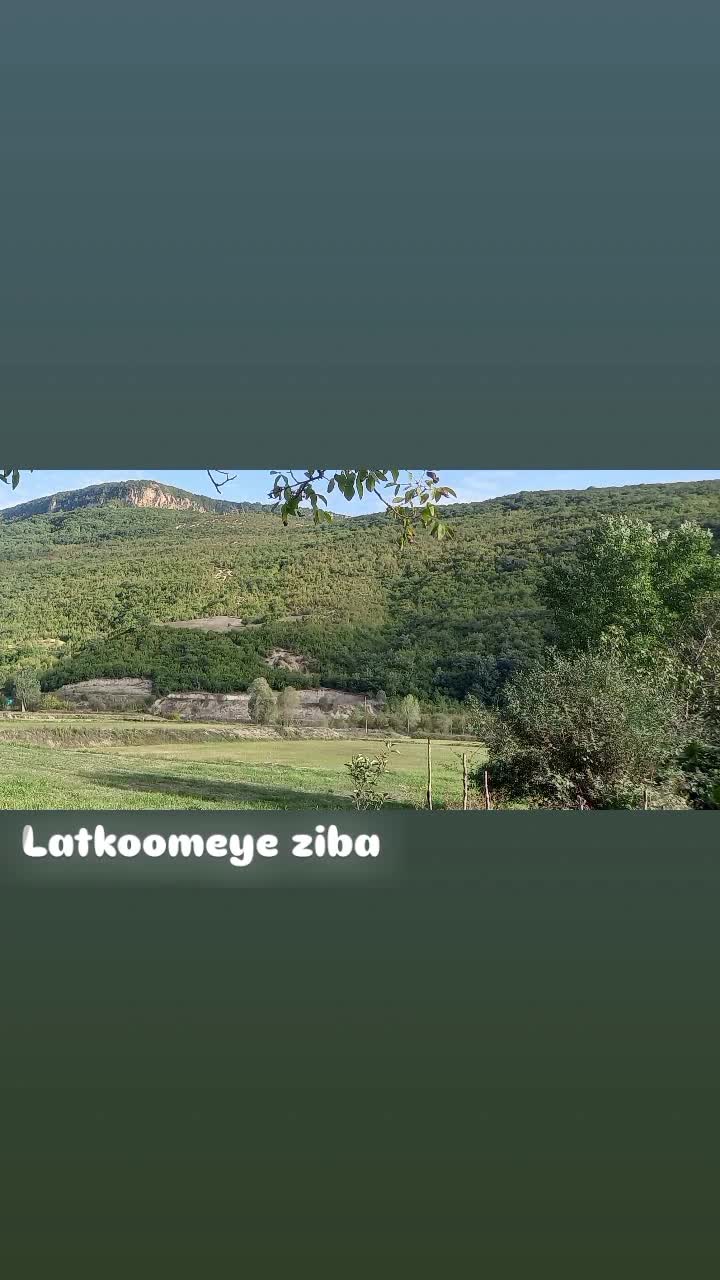 در بهشت روی زمین خانه بسازید .|فروش زمین و ملک کلنگی|گلوگاه, |دیوار