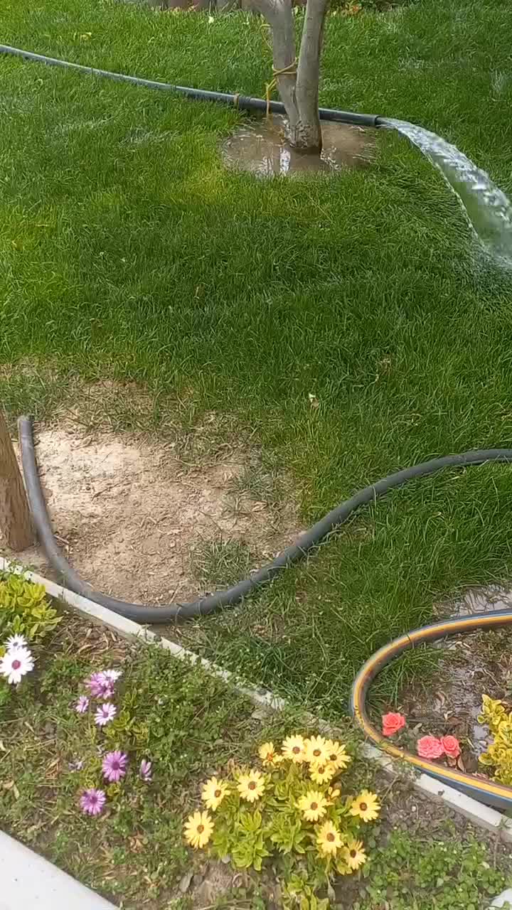 حفره کنی چاه کن|خدمات باغبانی و درختکاری|تبریز, |دیوار