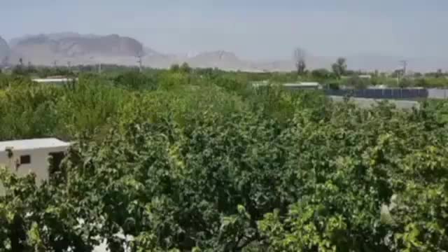 چهاردیواری باغ مجوز دیوار ابریشم پیربکران فلاورجان|فروش زمین و ملک کلنگی|اصفهان, سپاهان‌شهر|دیوار
