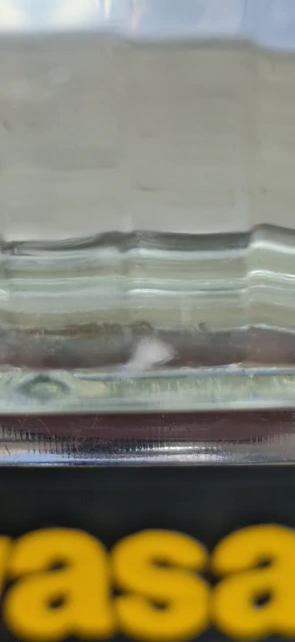 کاوازاکی GTO 125|موتورسیکلت|اردبیل, |دیوار