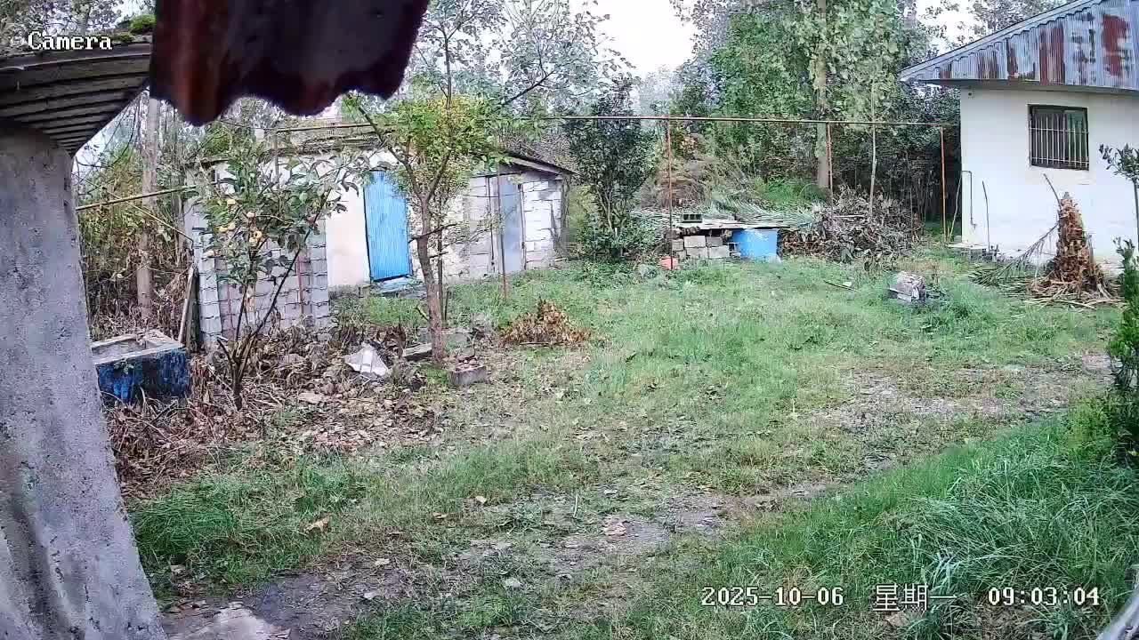 نصب دوربین مداربسته و دزدگیر اماکن|خدمات پیشه و مهارت|لاهیجان, لیالستان|دیوار