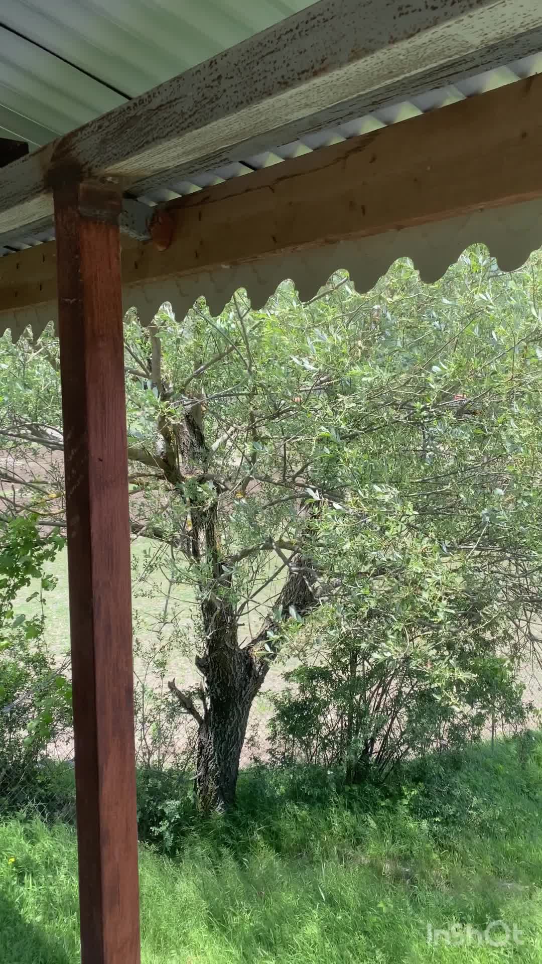 فروش و تهاتر ویلا ۲ خواب در محدوده کوه مریان|فروش زمین و ملک کلنگی|تالش, هشتپر|دیوار