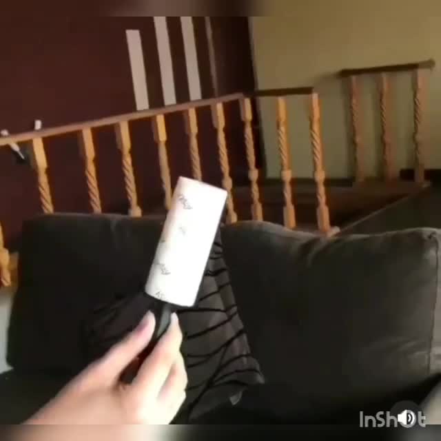 پرزگیر لباس چسبی|لوازم نظافت|تهران, تهرانپارس شرقی|دیوار