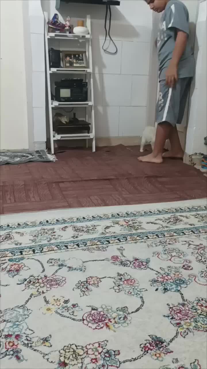 سگ ۲ماهه|سگ|کرج, ساسانی (قلمستان)|دیوار