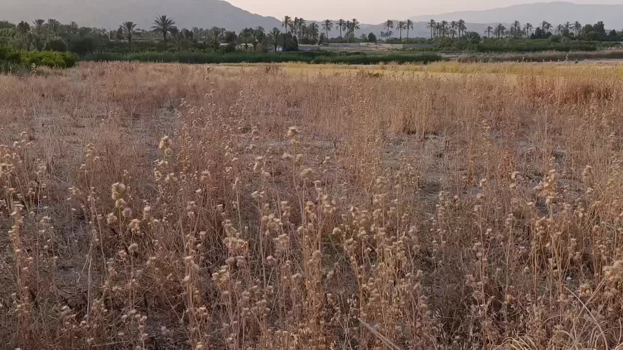 1400 متر زمین|فروش دفتر صنعتی، کشاورزی، تجاری|کازرون, |دیوار