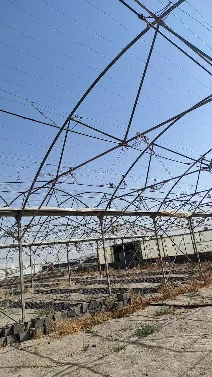 زمین کشاورزی نزدیک پالایشگاه نفت زال پارس|فروش زمین و ملک کلنگی|رضویه, |دیوار