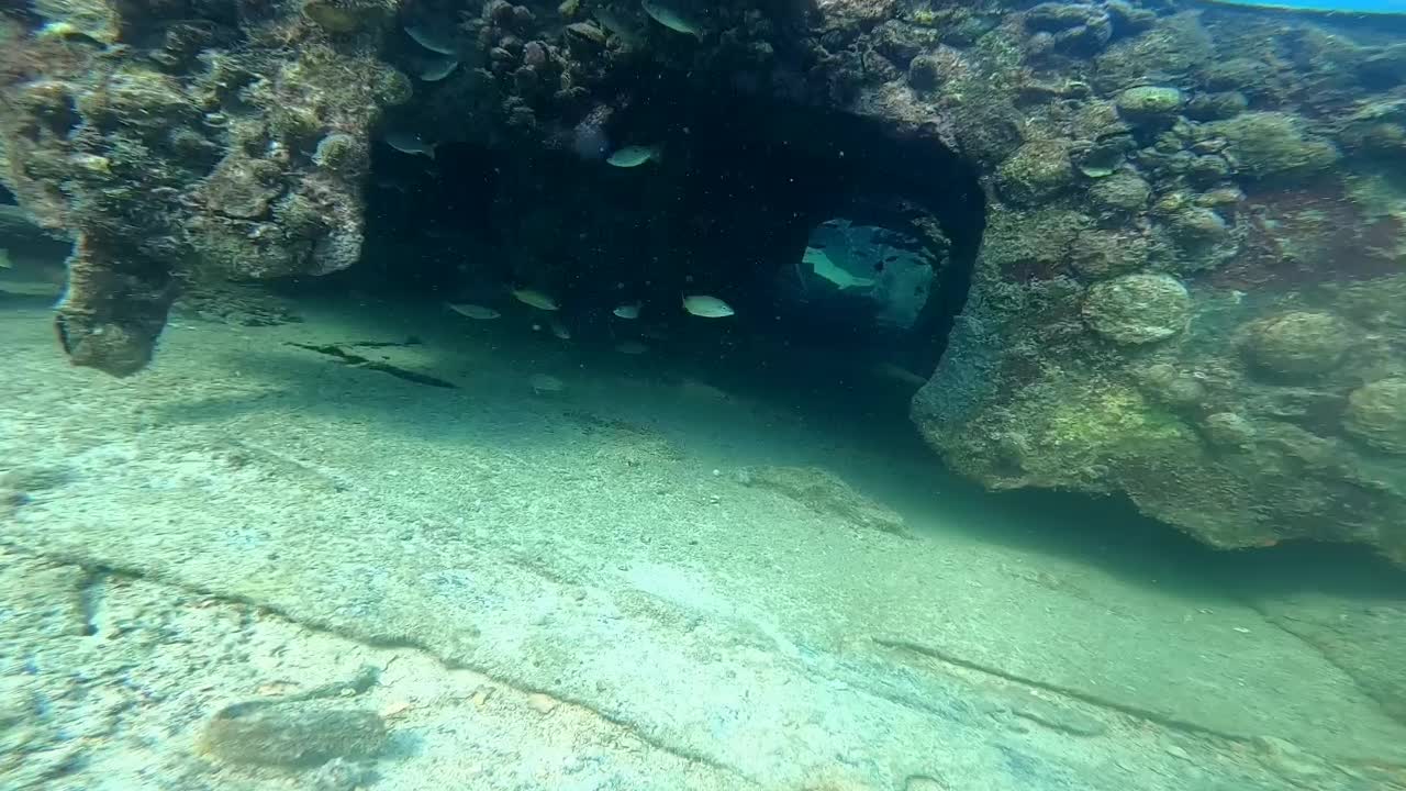 آموزش بین المللی غواصی(تهران/کیش/قشم)|خدمات آموزشی|تهران, سهروردی|دیوار