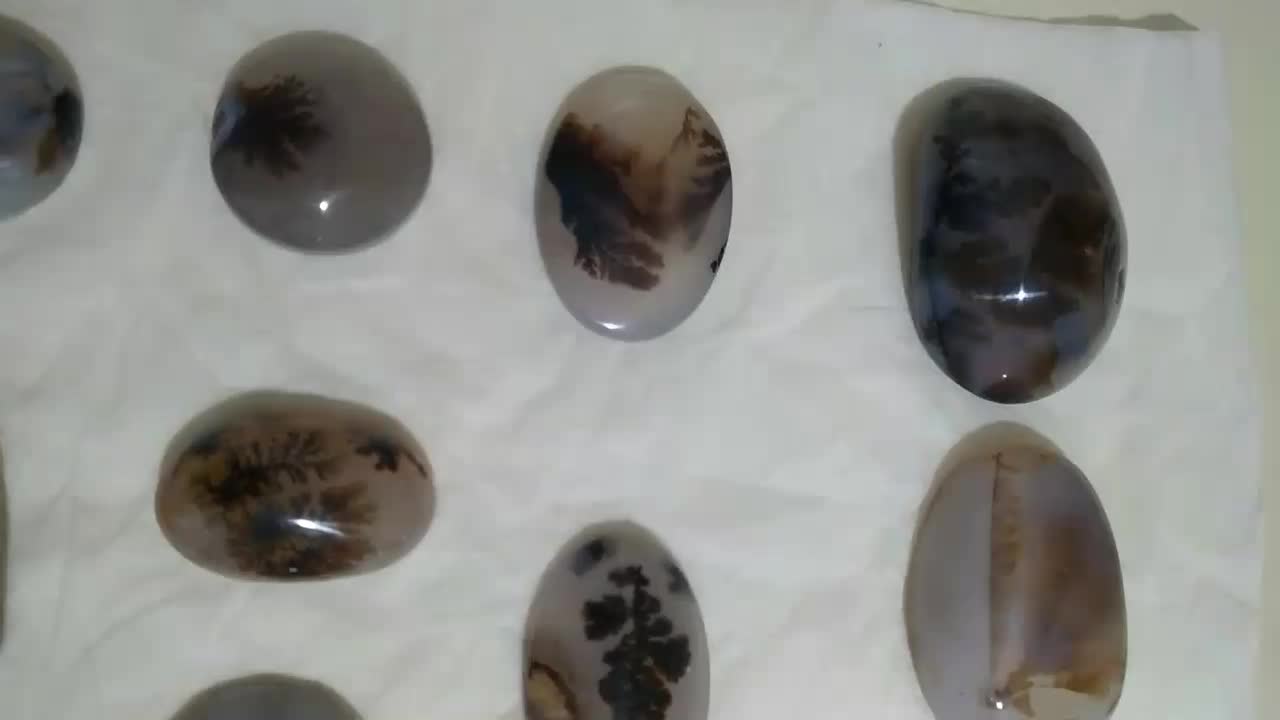 سنگ شجر قاین بی نظیر تک درخت سوزنی|جواهرات|مشهد, ثامن|دیوار