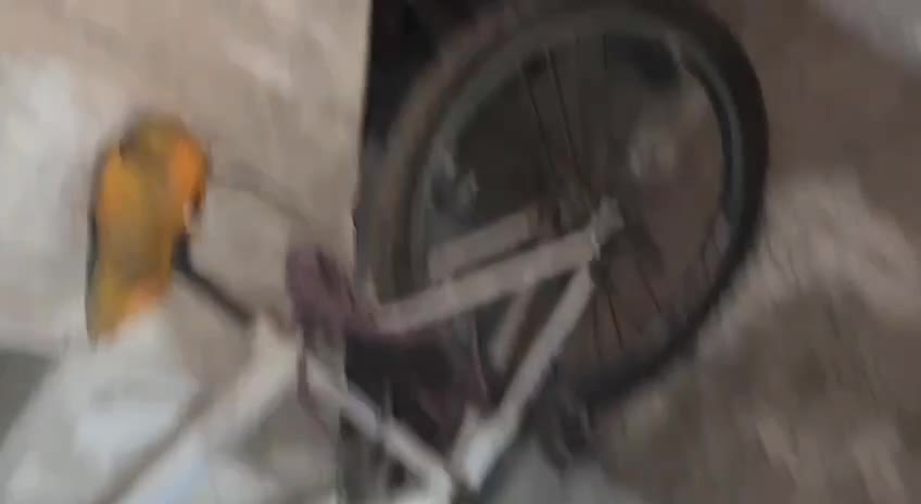 ...|دوچرخه، اسکیت، اسکوتر|تهران, فلاح|دیوار