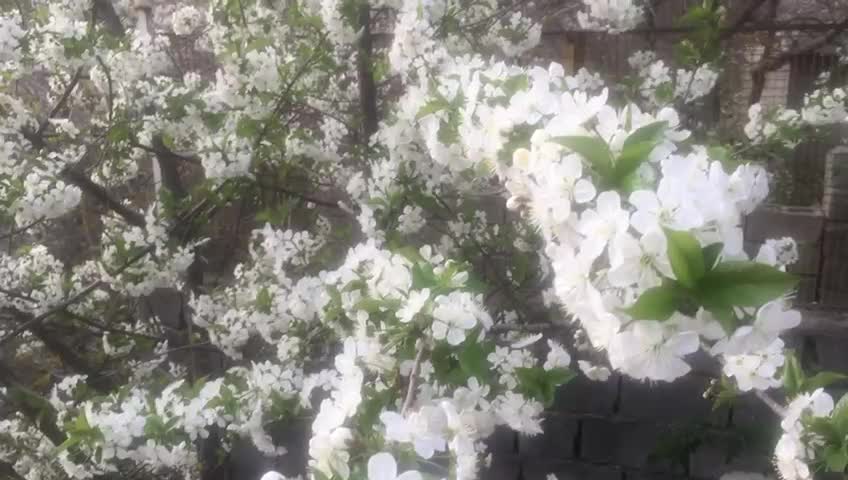 سولقان|فروش خانه و ویلا|کن, |دیوار