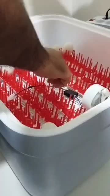 دستگاه جوجه کشی 96تایی مدل ایزی باتور بفروش میرسد|لوازم جانبی حیوانات|مشهد, کلاکوب|دیوار