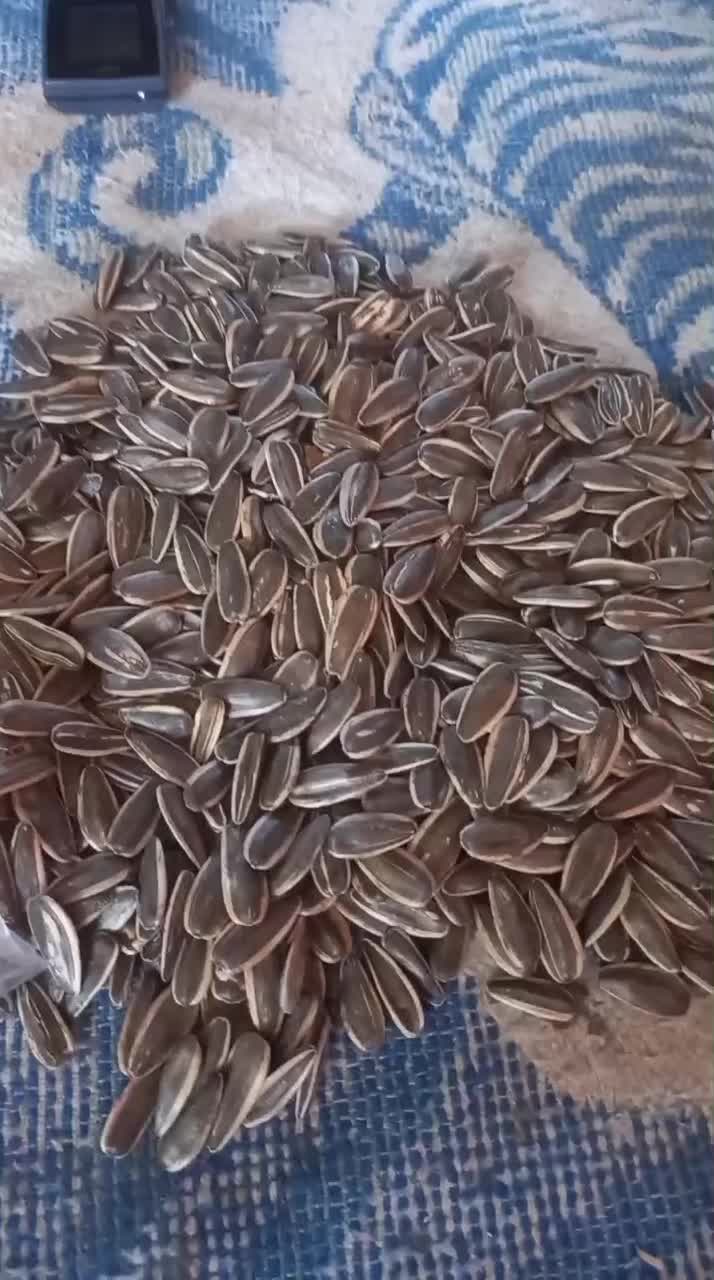 خرید و فروش تخمه افتاب و کدو|خوردنی و آشامیدنی|محمدبار, |دیوار