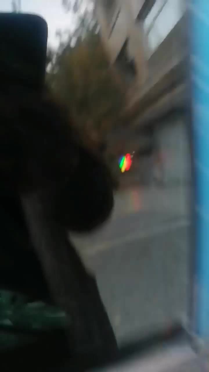 سمند 81تمام رنگ|خودرو سواری و وانت|مشهد, خواجه ربیع|دیوار