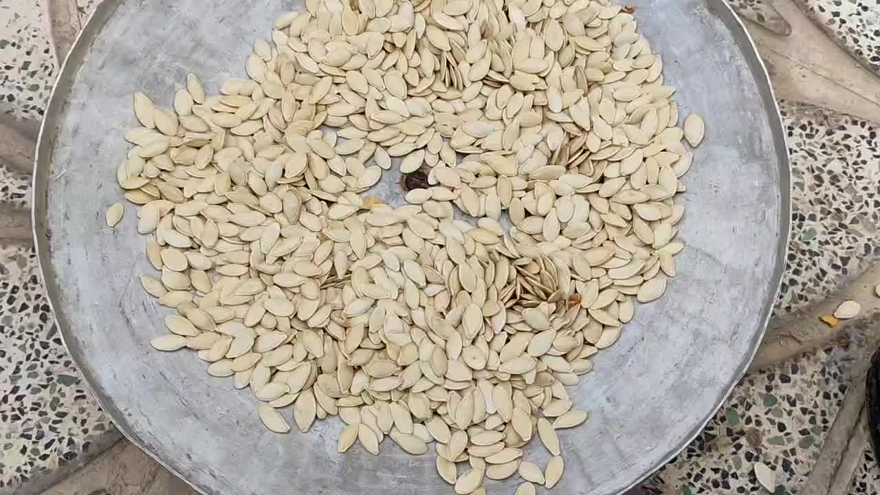 تخم کدو|خوردنی و آشامیدنی|اصفهان, امین‌آباد|دیوار