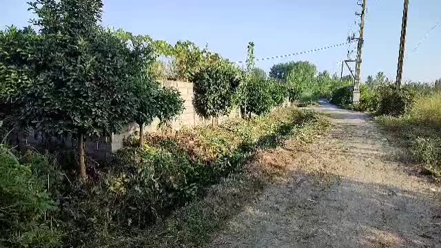 فروش زمین ویلایی شمال جاده آمل به محمودآباد|فروش زمین و ملک کلنگی|محمودآباد, |دیوار