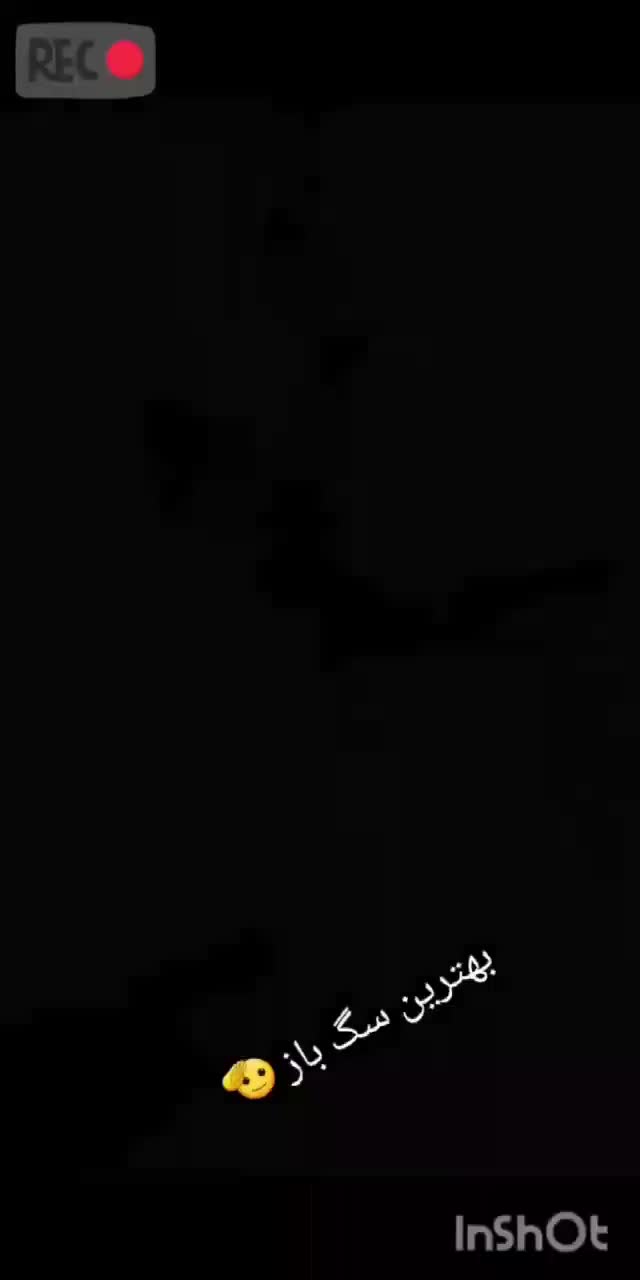 گمشده|حیوانات|ارومیه, |دیوار