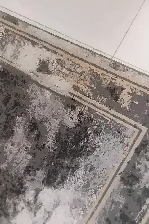 قالیچه در حد نو|فرش|مشهد, نوید|دیوار