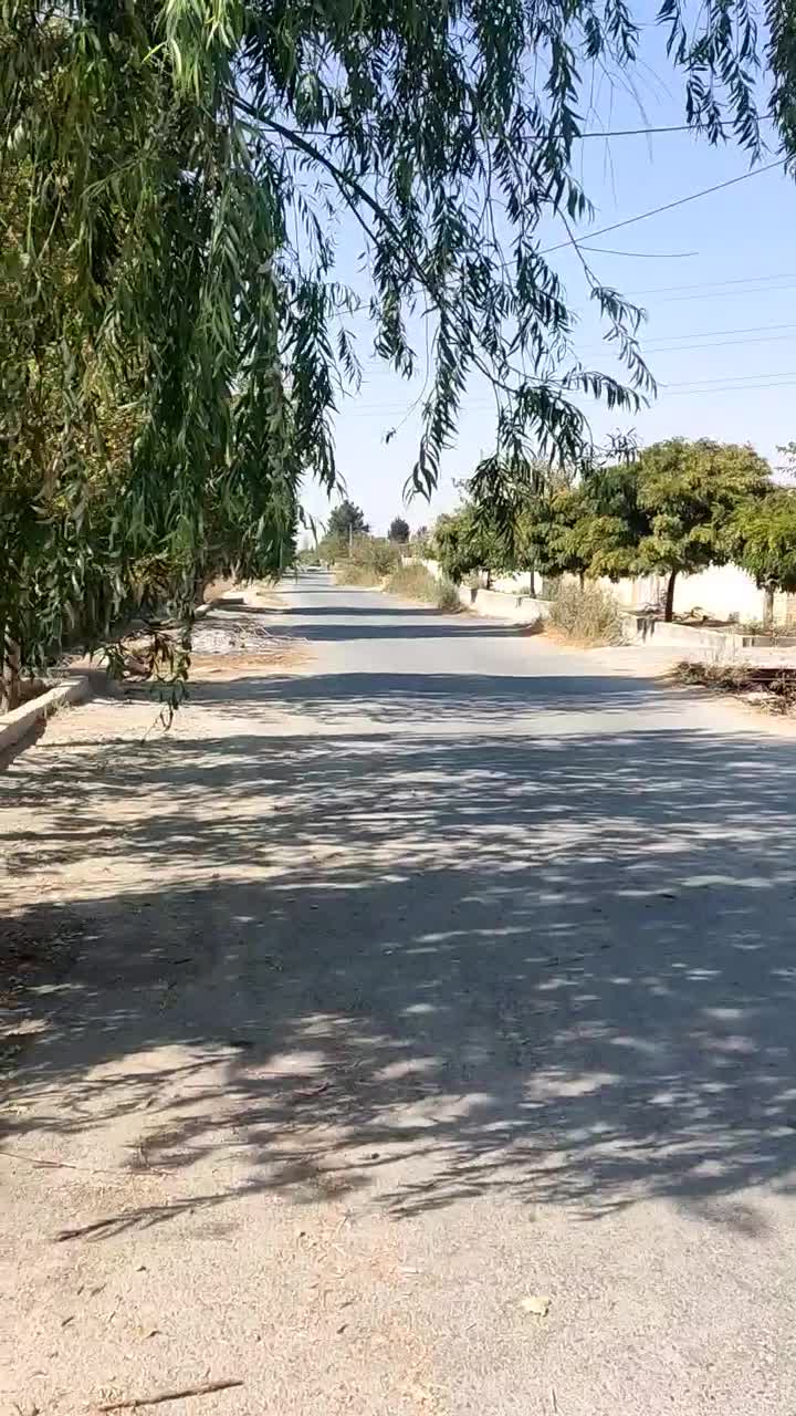 ویلا نقلی مرتب|اجارهٔ کوتاهمدت ویلا و باغ|محمدشهر, محمدشهر|دیوار