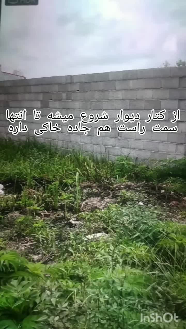 فروش فوری زمین مسکونی در سیاه اسطلخ|فروش زمین و ملک کلنگی|رشت, سیا اسطلخ|دیوار