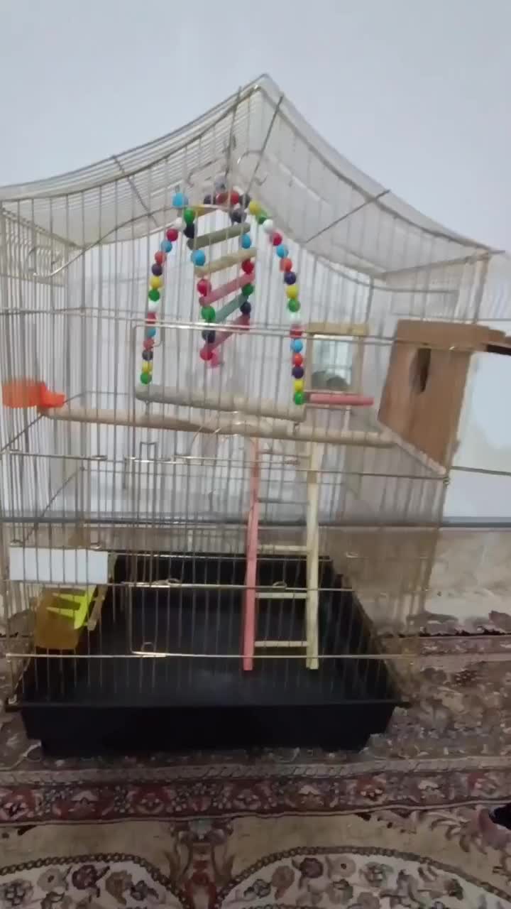 فروش قفس پرنده|لوازم جانبی حیوانات|جلفا, |دیوار