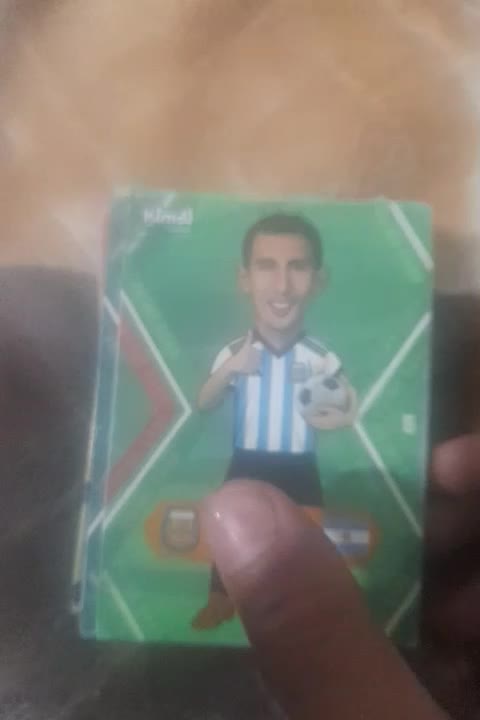 کیمدی|اسباببازی|تربتحیدریه, فرمانداری|دیوار