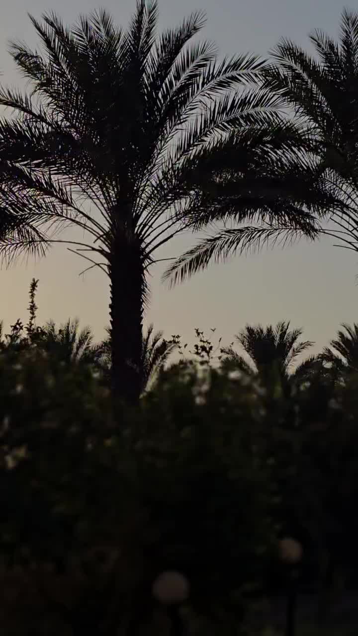 خونه باغ دربهبهان|اجارهٔ کوتاهمدت ویلا و باغ|بندر ماهشهر, |دیوار