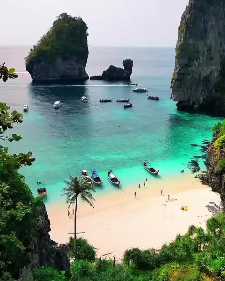 آفرویژه تور تایلند مالزی استانبول دبی اقساط دلخواه|تور و چارتر|مشهد, فلسطین|دیوار