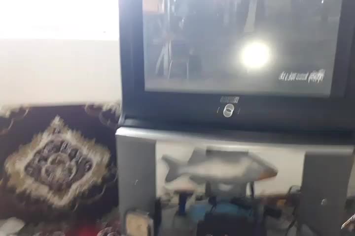 گیرنده دیجیتال مارشال|صوتی و تصویری|رودسر, |دیوار