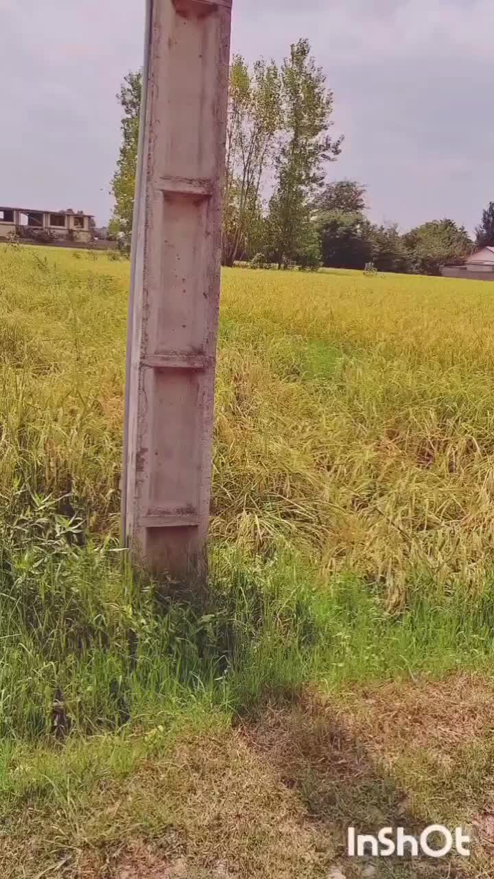 ویلامتراژکل ۱۰۰متربابنا۶۰مترسندارشهرسنگر ویوروستای|فروش خانه و ویلا|سنگر, |دیوار