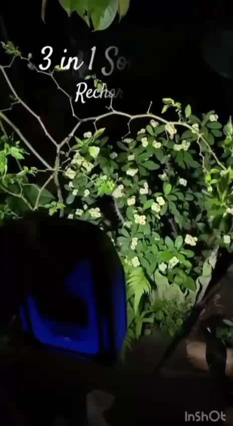 چراغ و پروژکتور دارای پاوربانک|لامپ و چراغ|تهران, شهید فکوری|دیوار