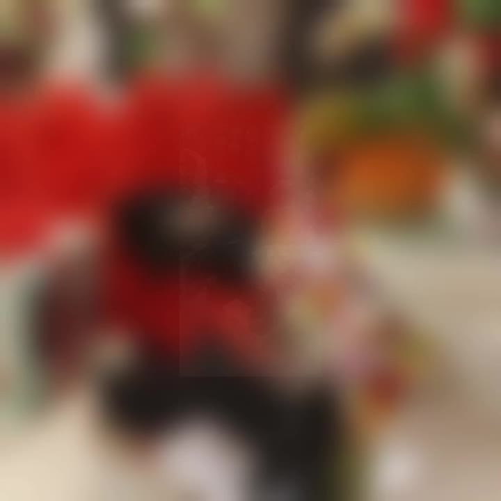 کرایه لباس مجلسی و کلیه وسایل یلدایی|لباس|گلبهار, شهر جدید گلبهار|دیوار